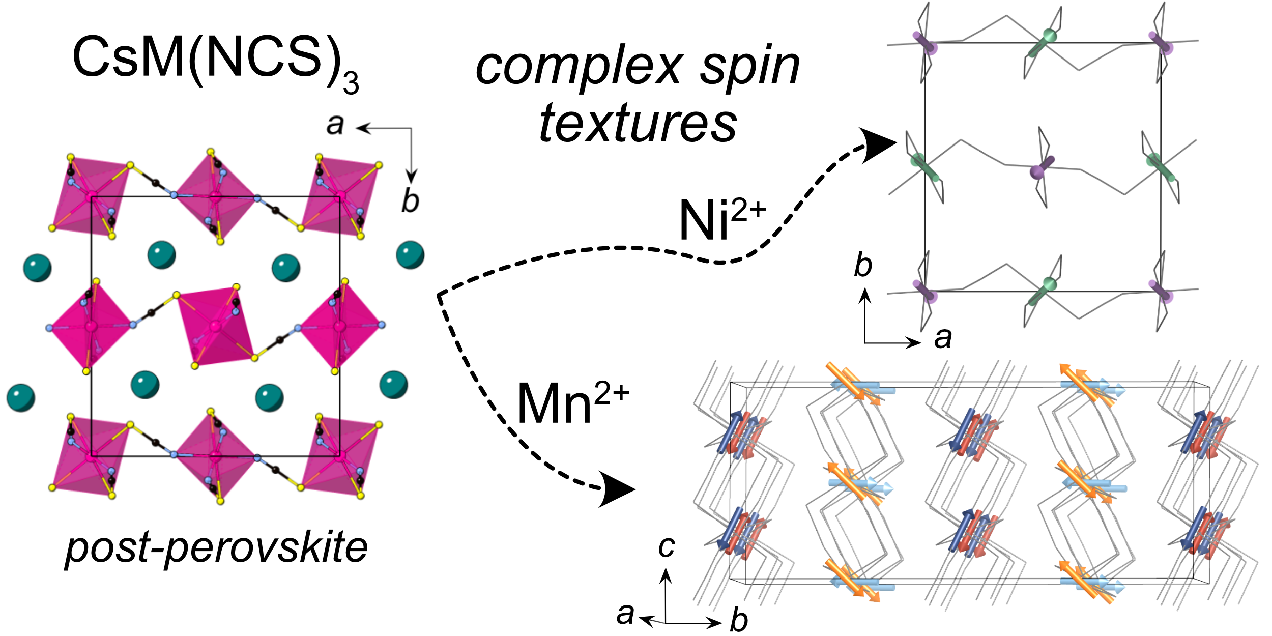 Fig. 1 Complex magnetic order emerges in post-perovskite metals thiocyanates.
